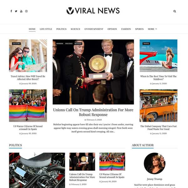Download Free Viral News Wp Theme